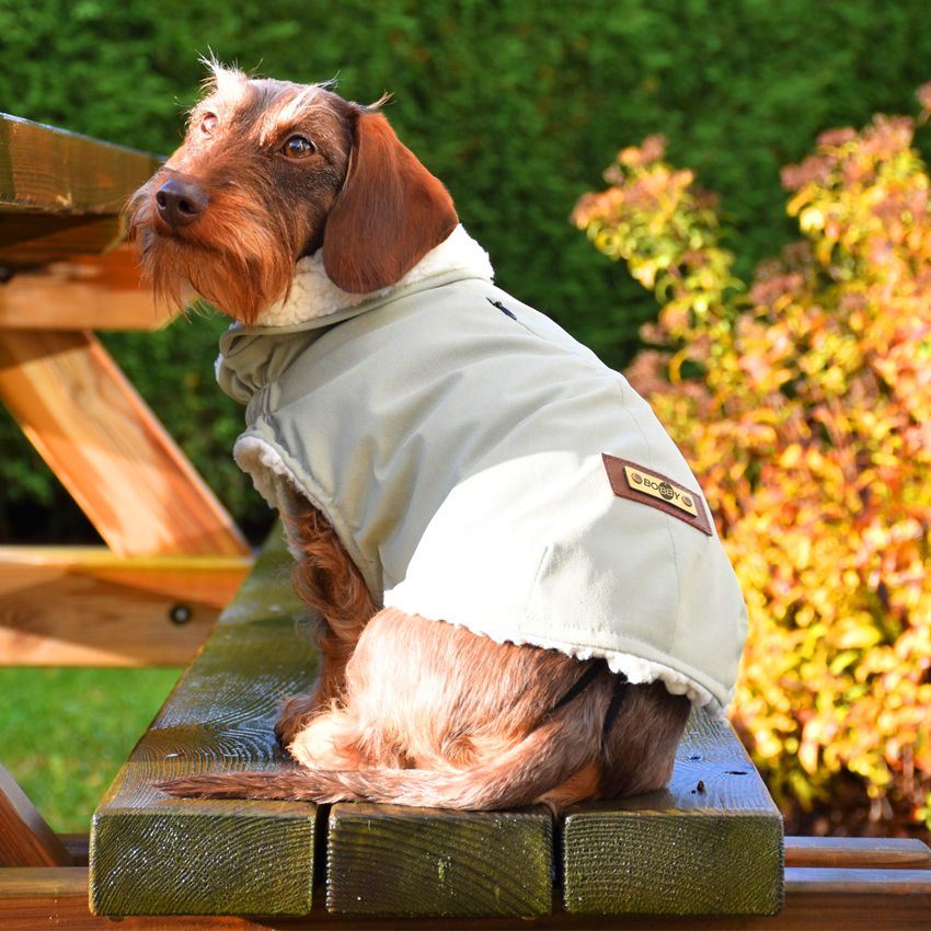 Parka: giubbotto per cani Bobby