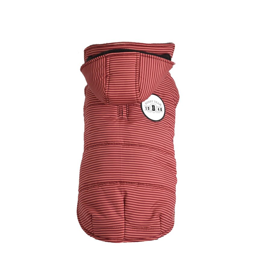 Bobby dog jacket - Rayé