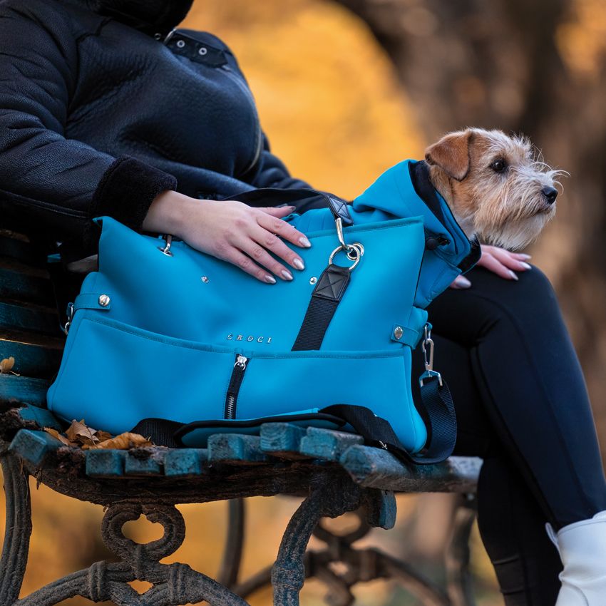 Giubbotto invernale cane Daring