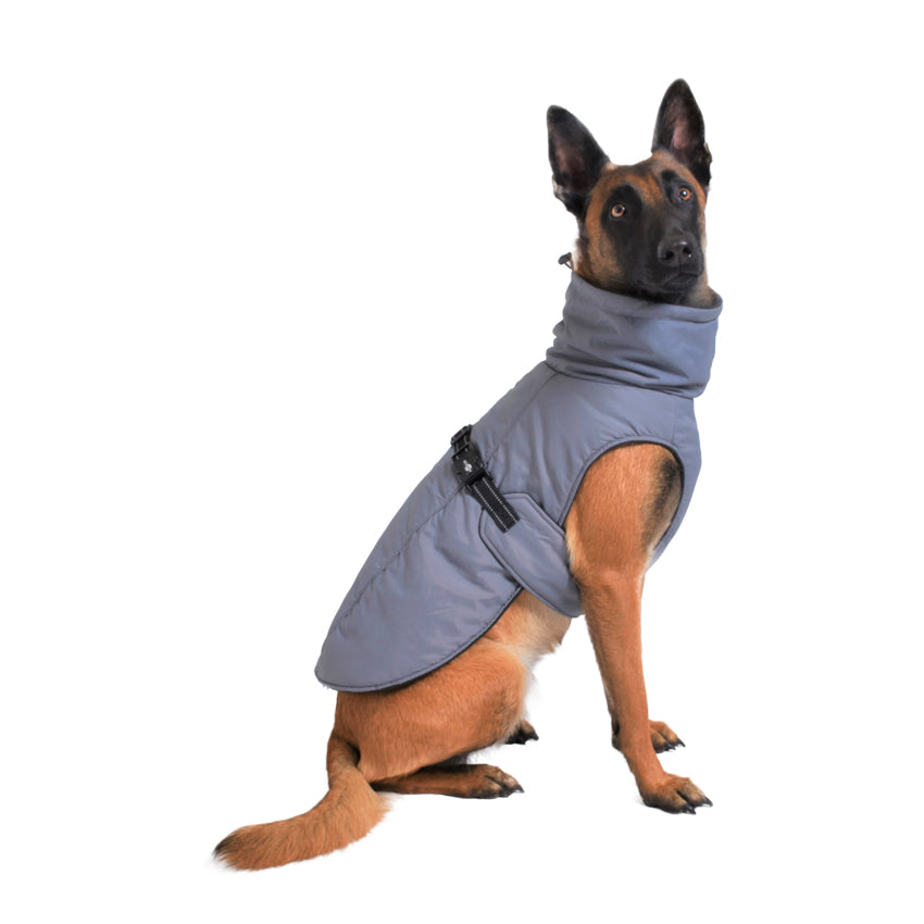 Bobby dog jacket - Urban