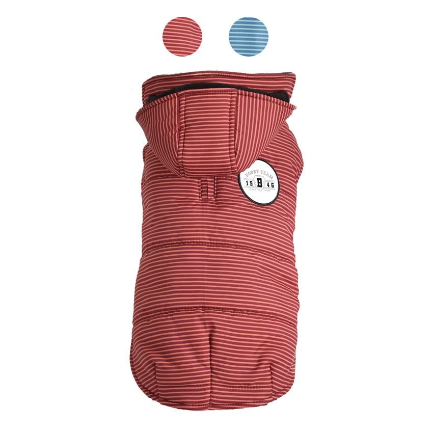 Bobby dog jacket - Rayé