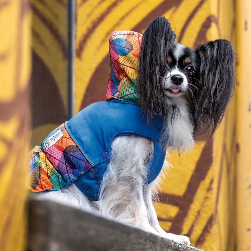 Giubbotto per cani taglia media Foliage