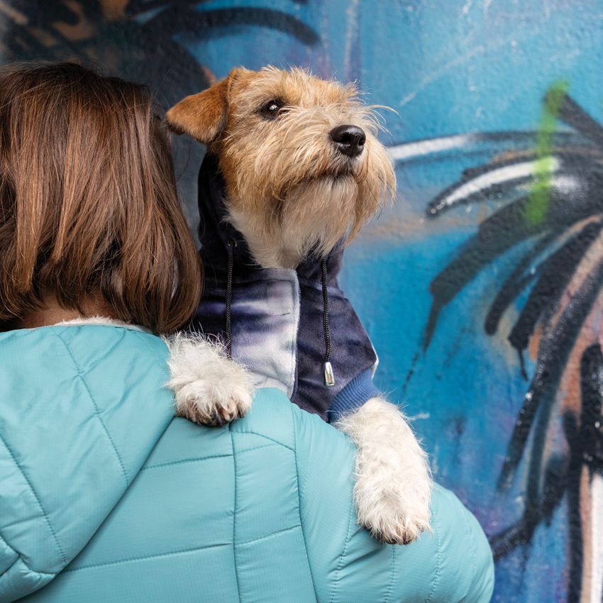 Giubbotto per cani taglia piccola Kaleido