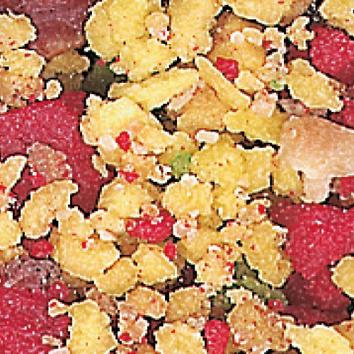 Tolles gemischtes Obstgericht für Papageien