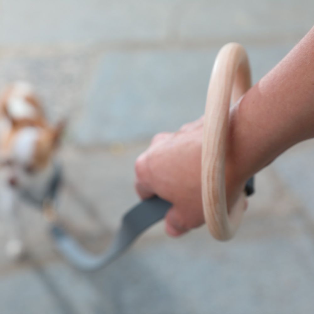 Guinzaglio cane manico di faggio