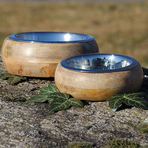 Dog bowl in wood and steel - Gryfino