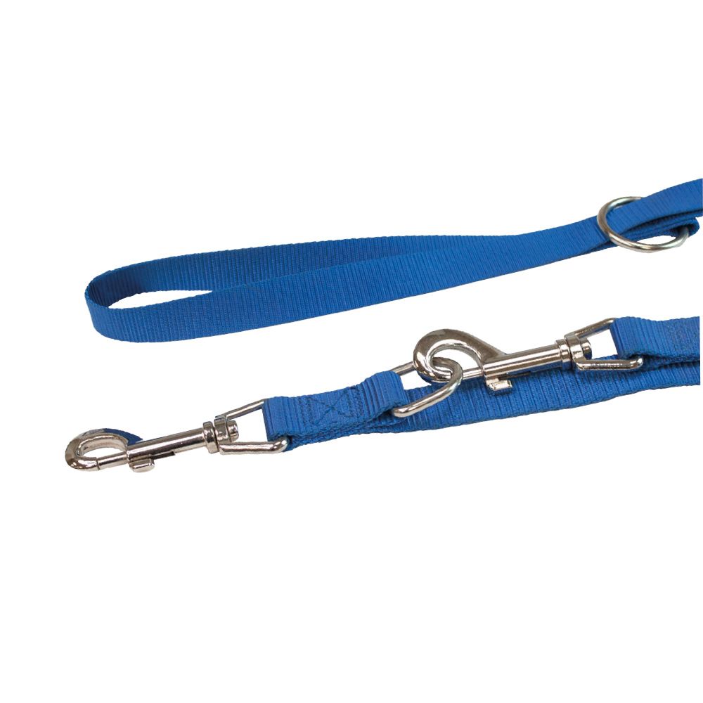 Nylon dog leash for training