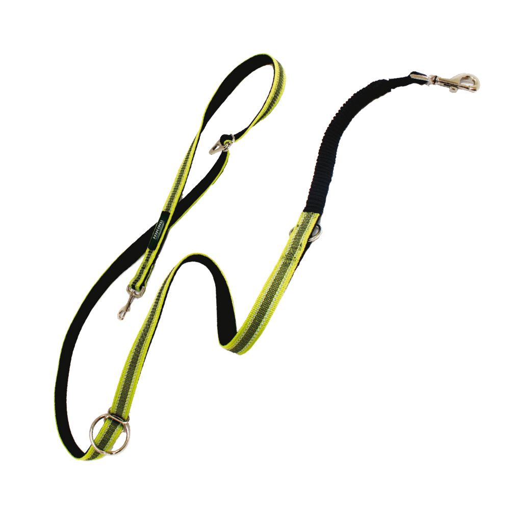 Hiking Adventure Leash for Dogs