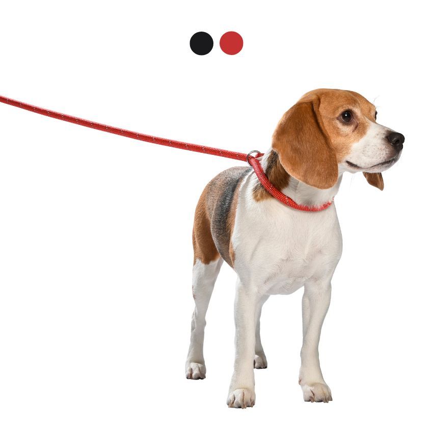Guinzaglio cane Bobby Walk Lasso