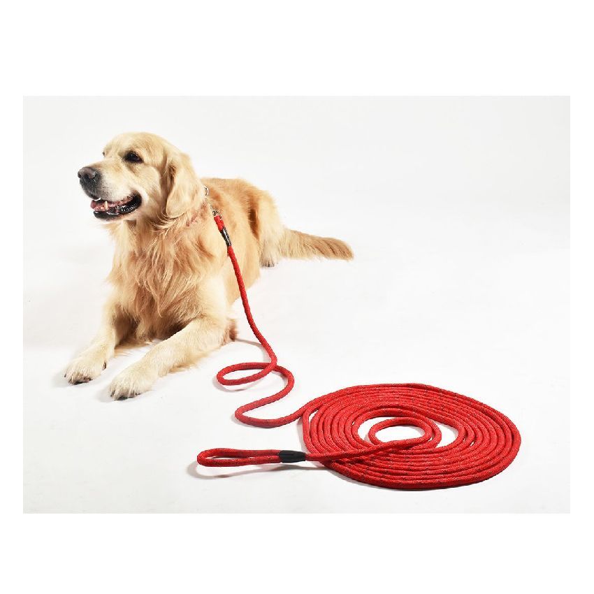 Tubular dog leash - Bobby Walk