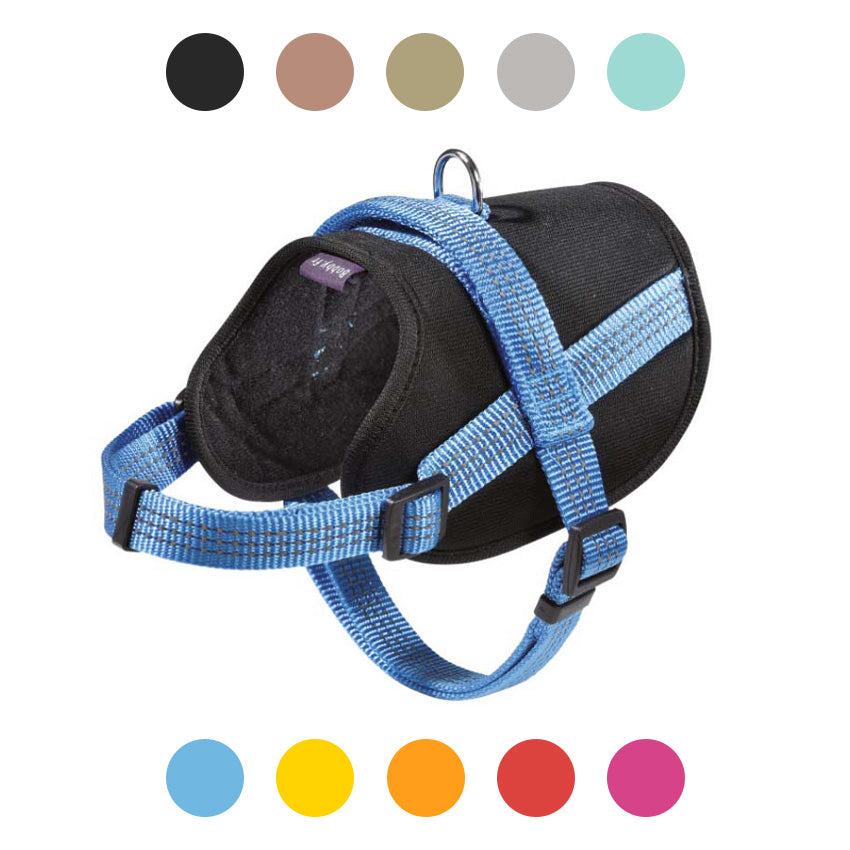 Pettorina Easy Safe per Cani Bobby con Medaglietta e Nylon Riflettente