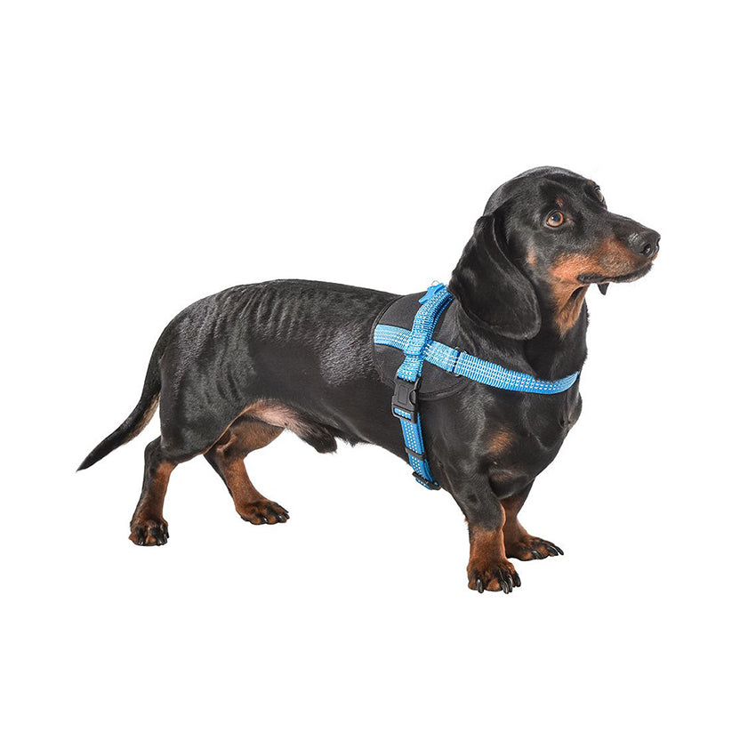 Pettorina Easy Safe per Cani Bobby con Medaglietta e Nylon Riflettente