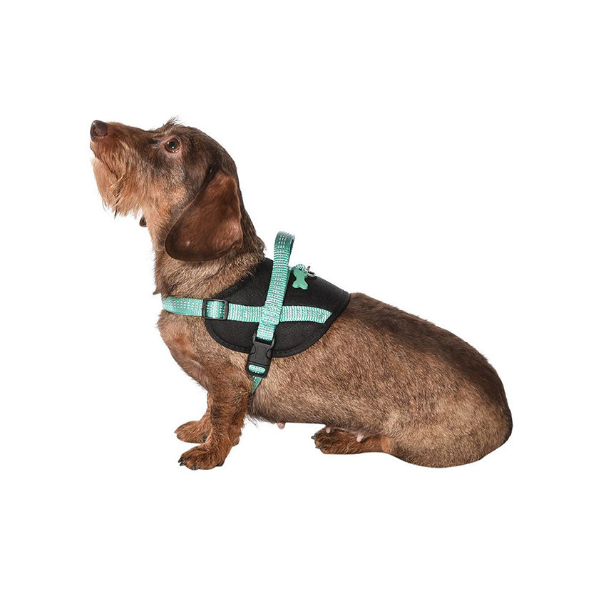 Pettorina Easy Safe per Cani Bobby con Medaglietta e Nylon Riflettente