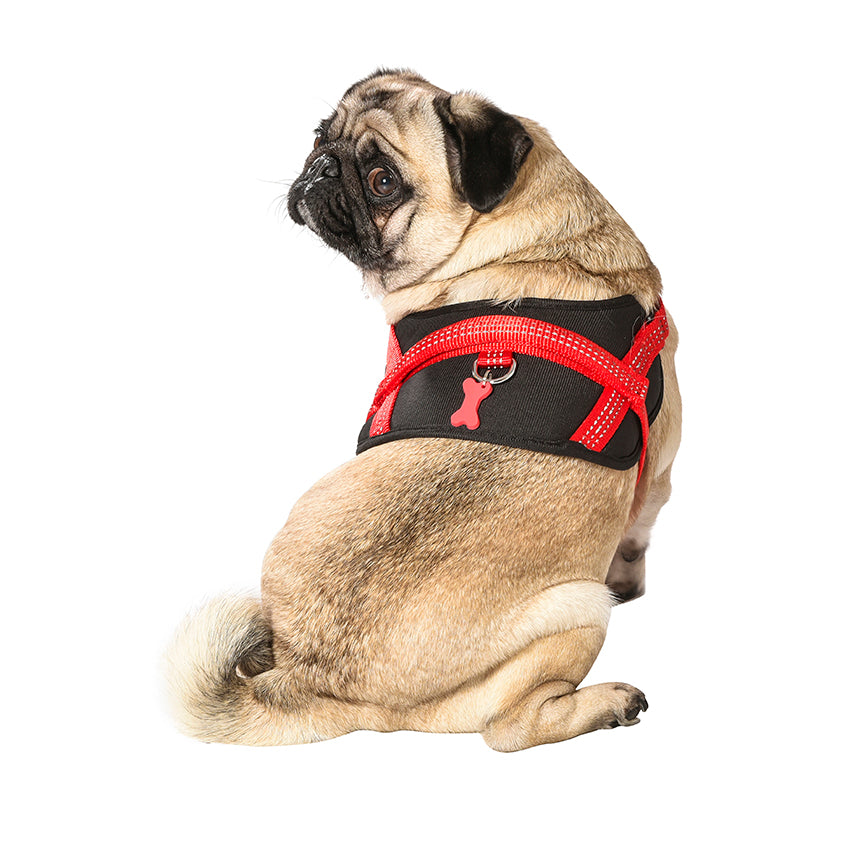 Pettorina Easy Safe per Cani Bobby con Medaglietta e Nylon Riflettente