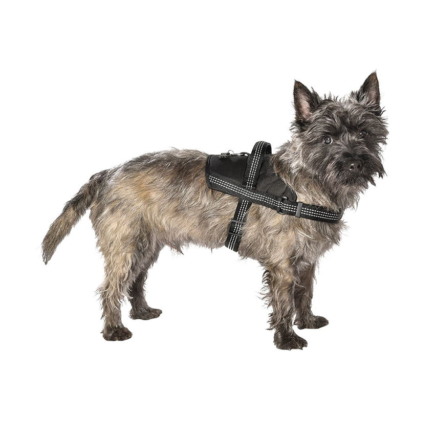 Pettorina Easy Safe per Cani Bobby con Medaglietta e Nylon Riflettente