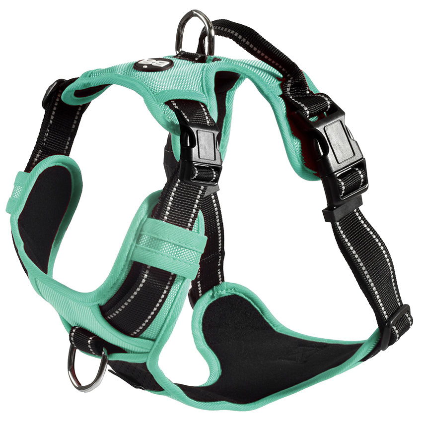 Anti-shooting harness - Bobby Rando Walk