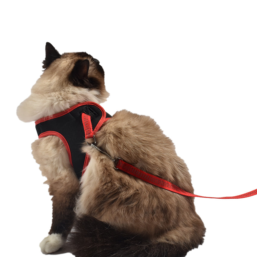 Pettorina Confort per Gatti con Guinzaglio Bobby Safe