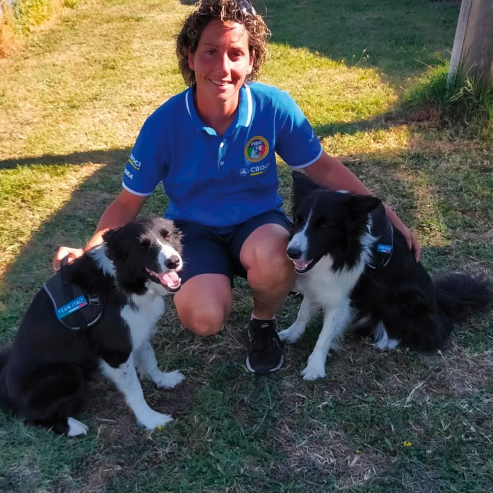 Arnés para perros de senderismo - Básico