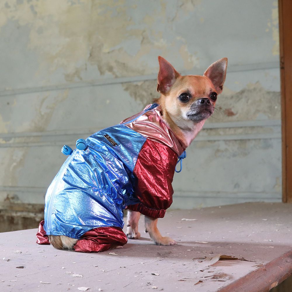 Traje de perro Hype
