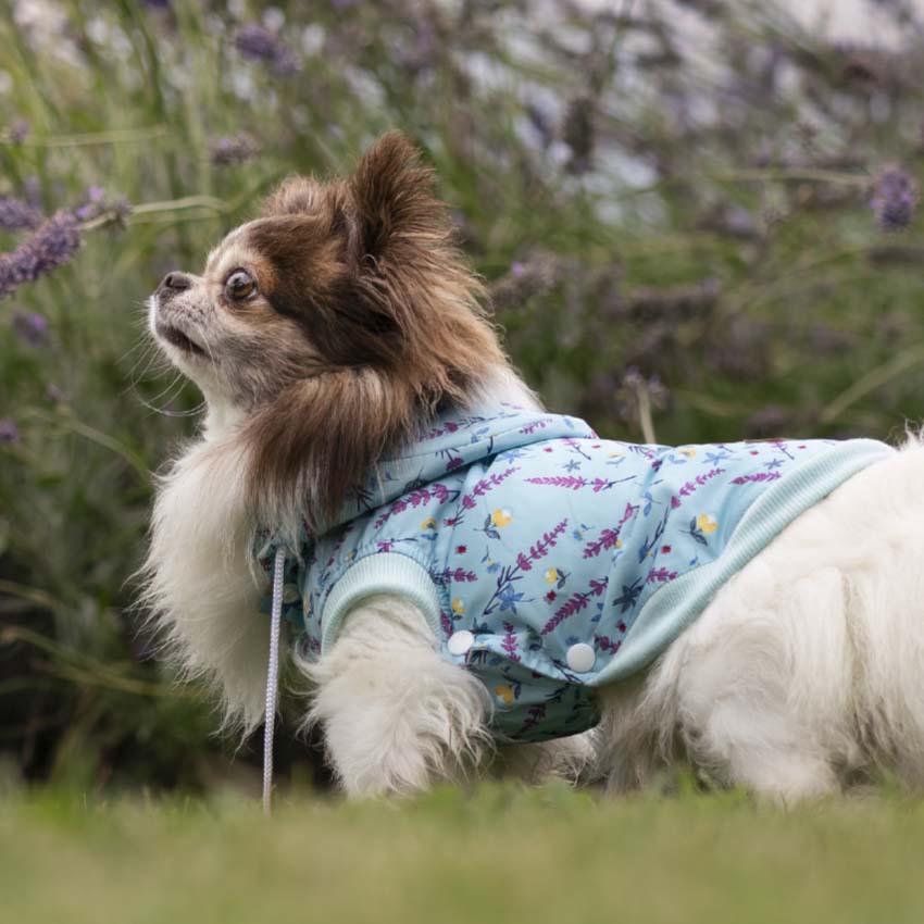 Impermeabile cane Lavanda