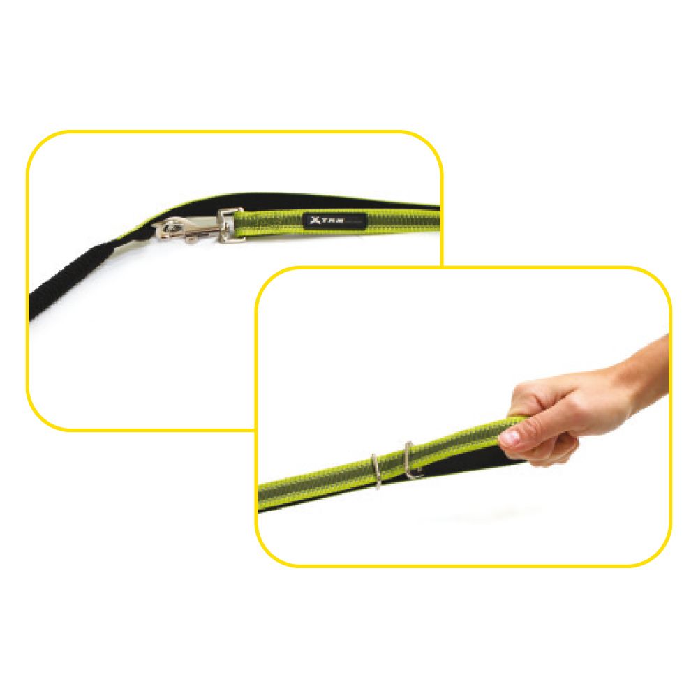 Hiking Adventure Leash for Dogs