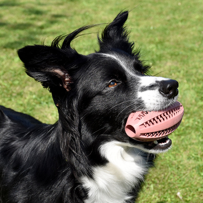 Balle: pallina per cane Bobby