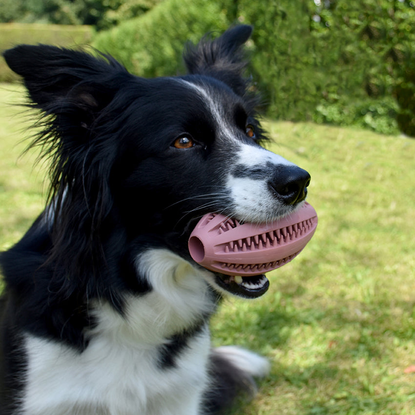 Balle: pallina per cane Bobby