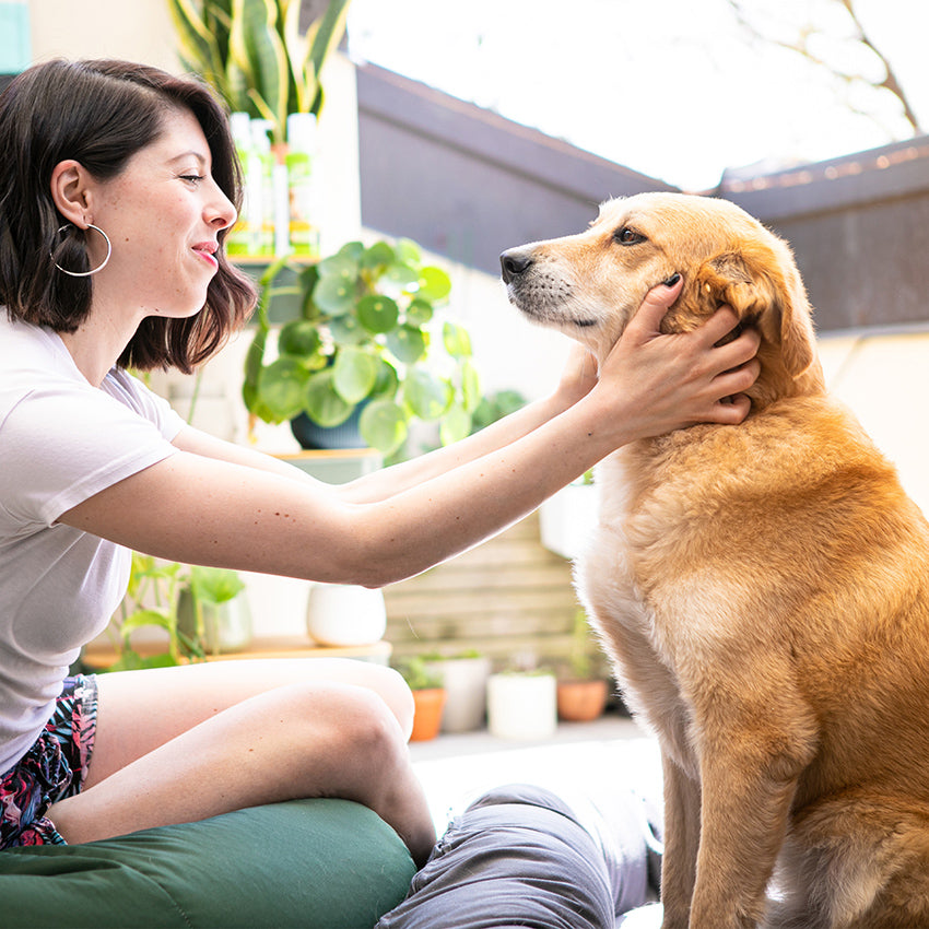 Lotion auriculaire à l'huile de Neem pour chiens Niki Natural Defense