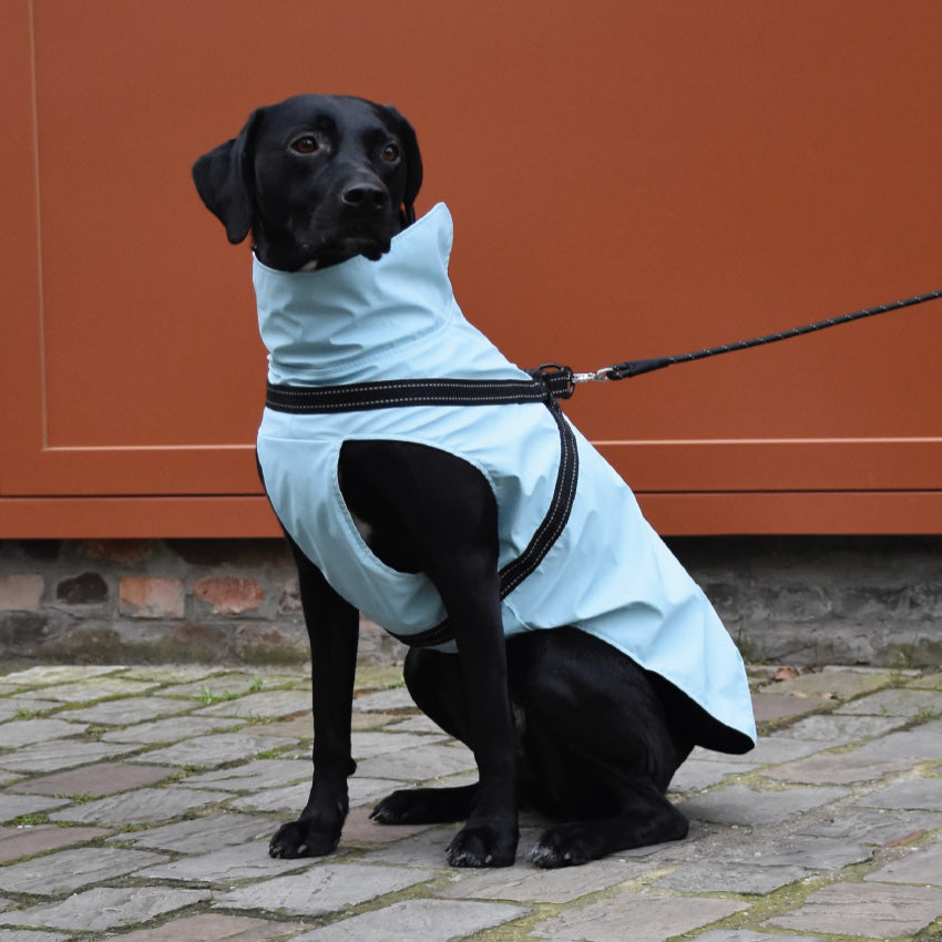 Manteau Tom per cani impermeabile in neoprene con pettorina integrata e dettagli riflettenti
