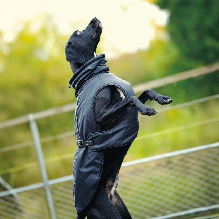 Giubbotto Urban imbottito e impermeabile per cani con interno in pile e dettagli riflettenti