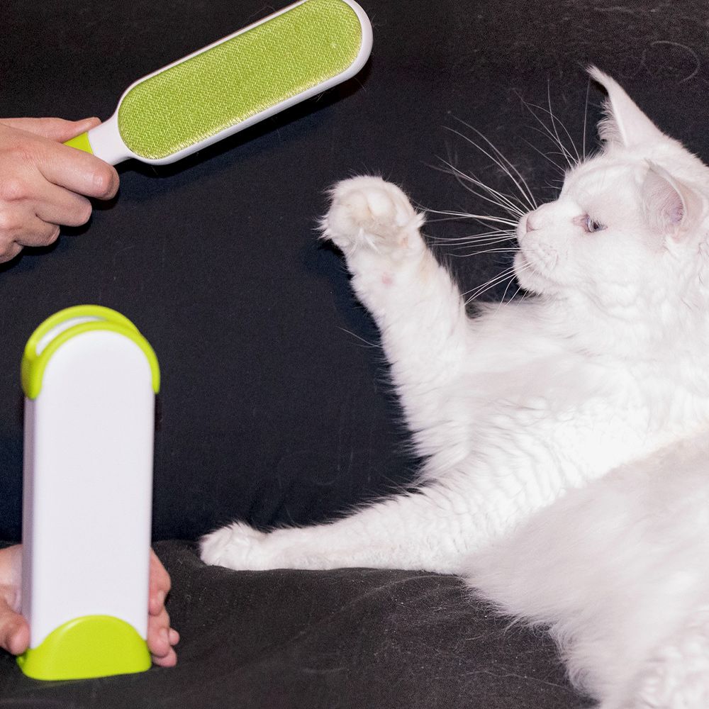 Kit de pinceaux Magicfur