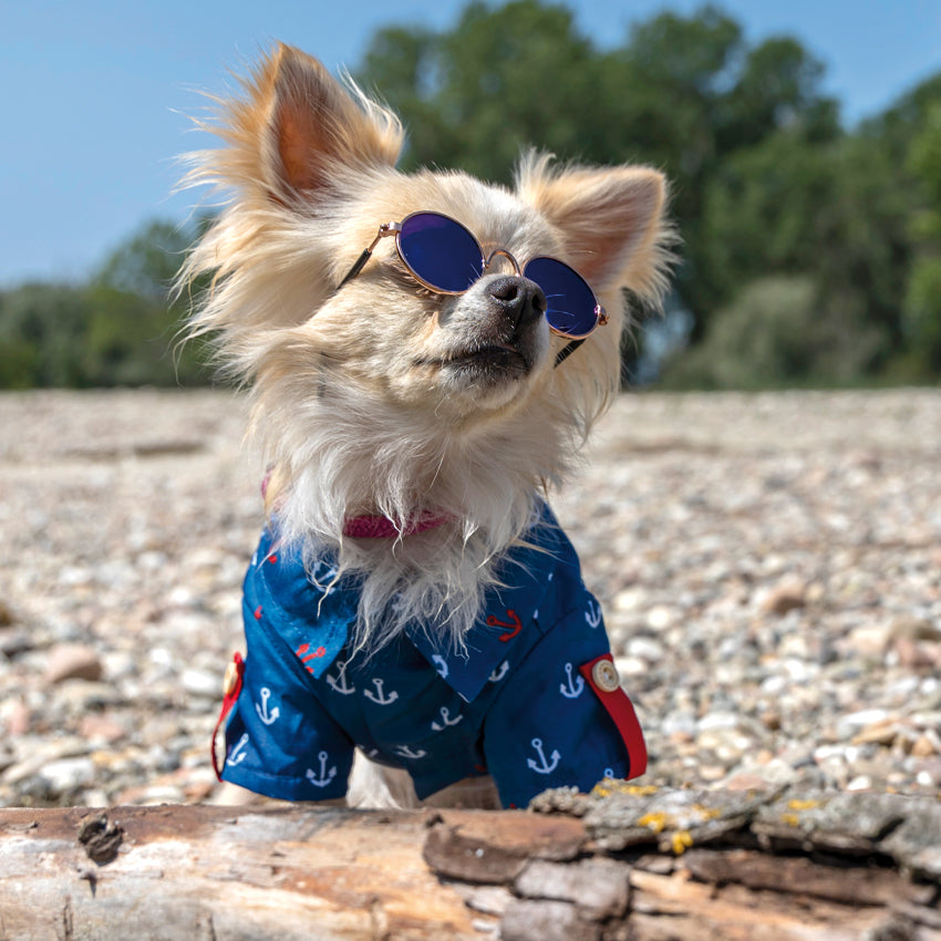 Gafas de sol para perro - Lennon