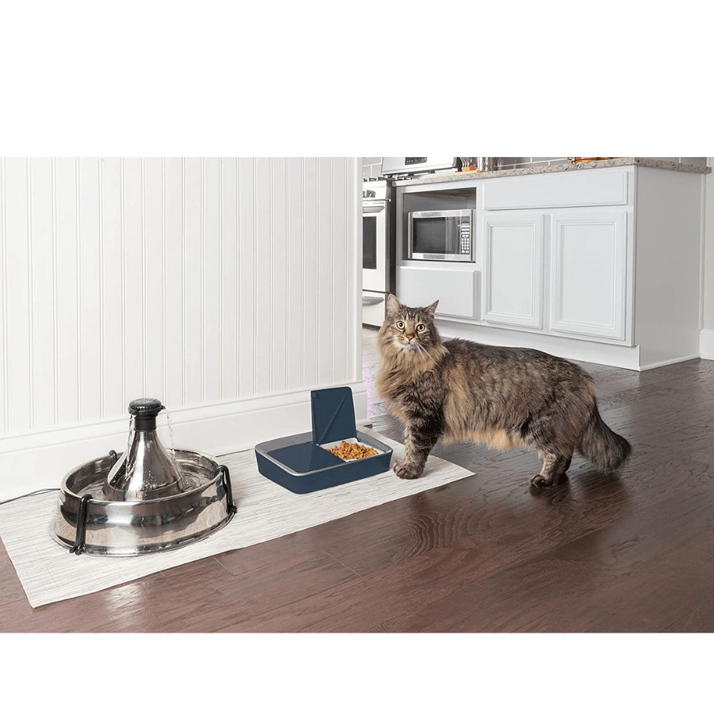 Mangiatoia PetSafe 2 PASTI