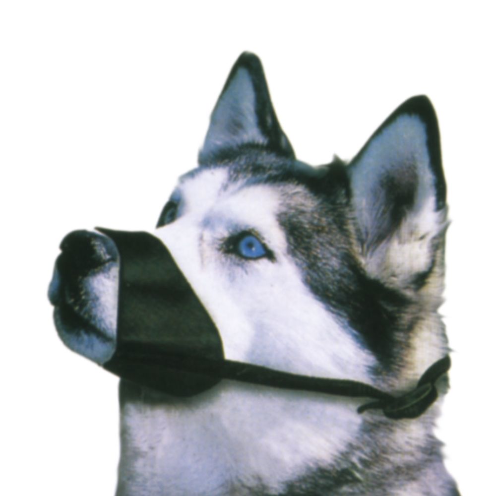 Nylon dog muzzle