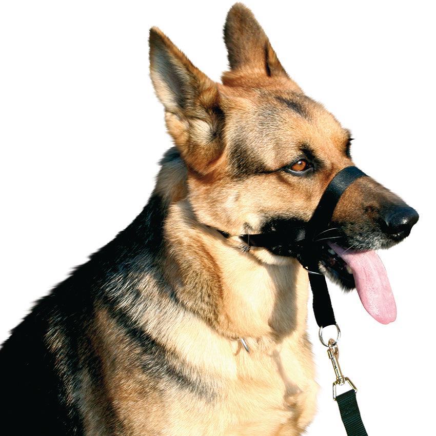 Museruola per cani regolabile in Nylon per addestramento