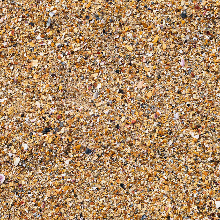 Sand Birds with Grit