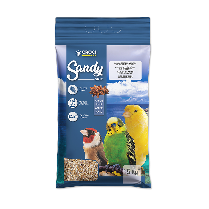 Sand Birds with Grit