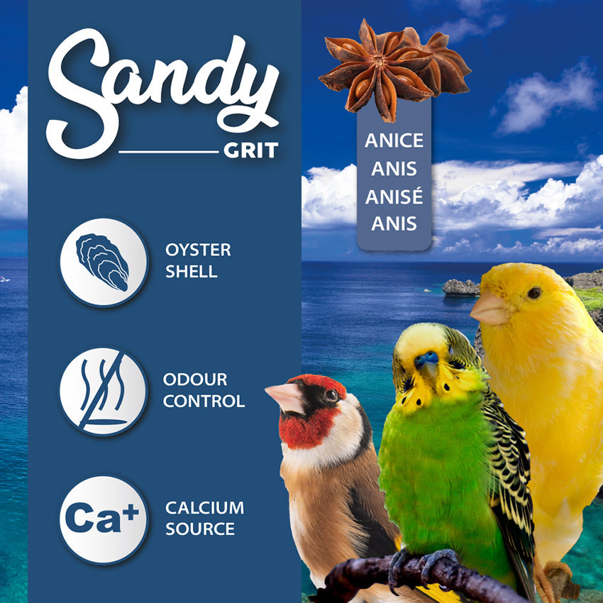Sand Birds with Grit