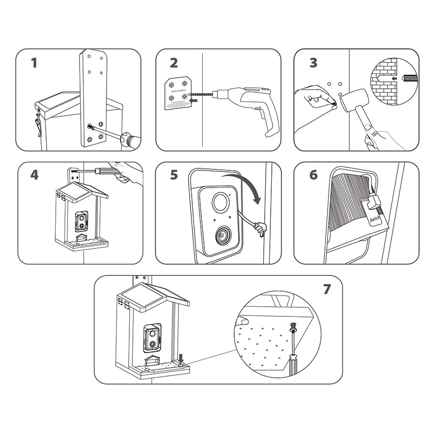Mangiatoia Smart WiFi: mangiatoia per uccelli con telecamera HD
