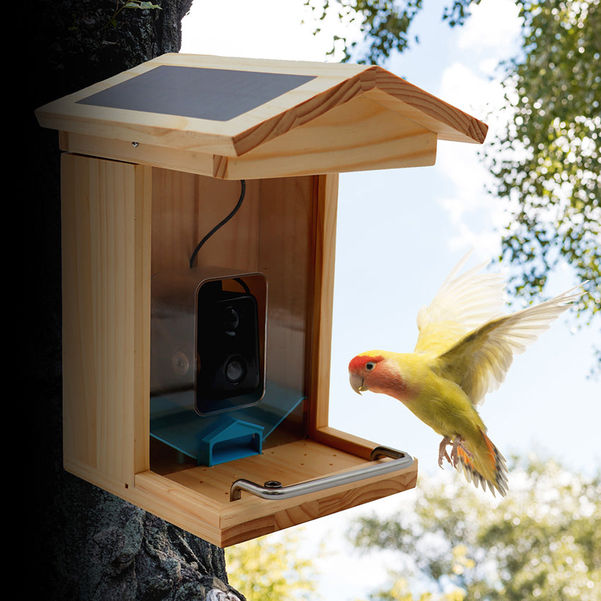 Mangeoire à oiseaux avec caméra HD 1080p version nuit caméra WiFi