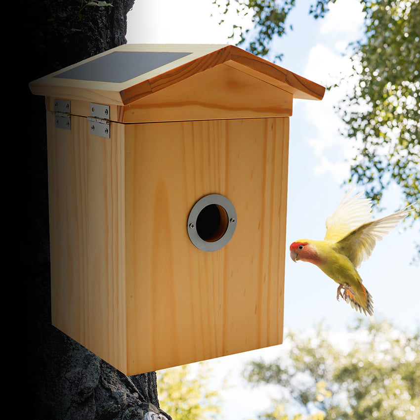 Birddy Smart Birdhouse Con Fotocamera - Nido Uccelli AI, Energy Solare, WiFi Per Birdwatching - Foto 6