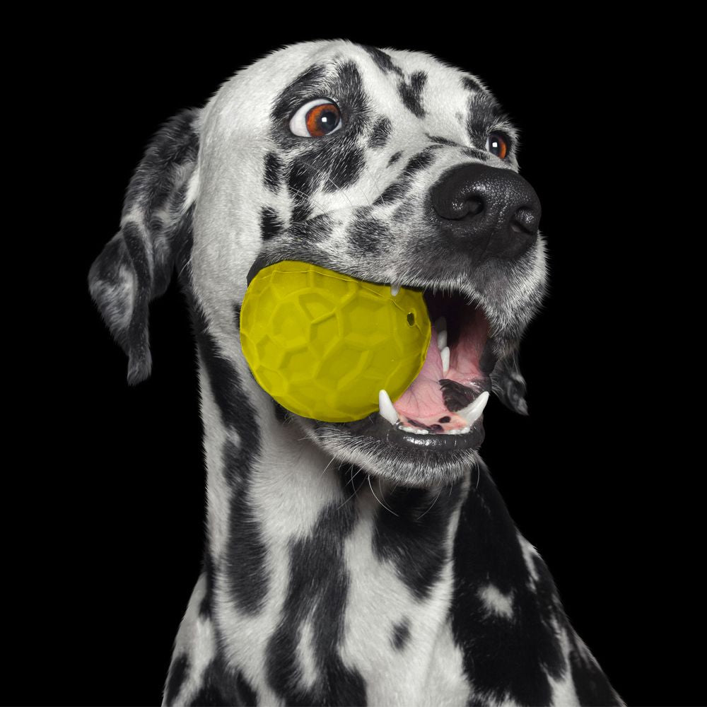Panton: palla gioco per cani in gomma naturale in colori assortiti