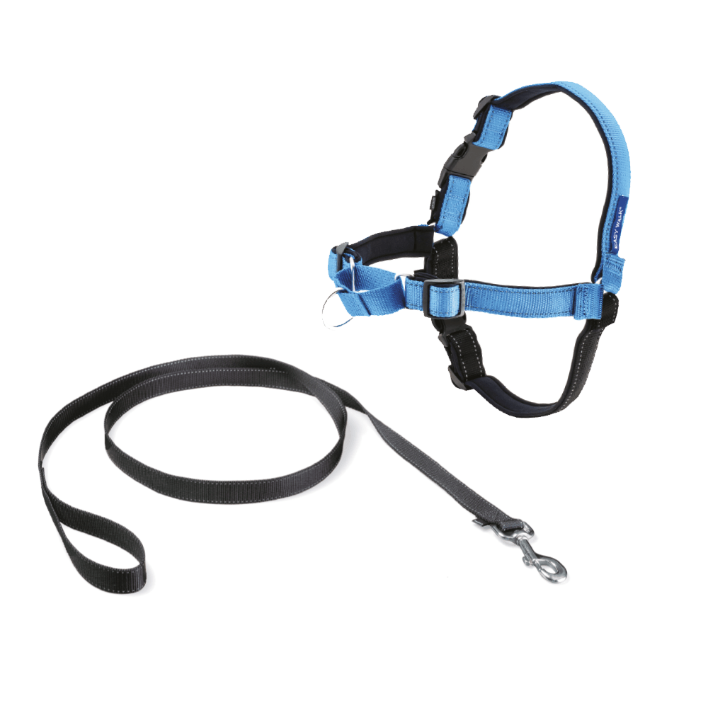 Pettorina per Cani Blu Oceano Easy Walk Deluxe