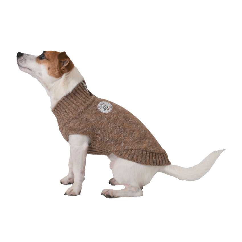 Maglione in Maglia per Cani con Collo Alto, Zip e Patch Today