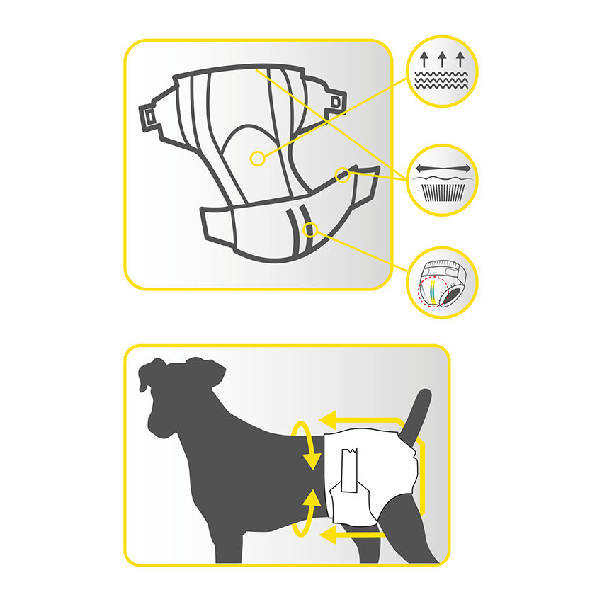 Couches pour chiens - Dog Nappy