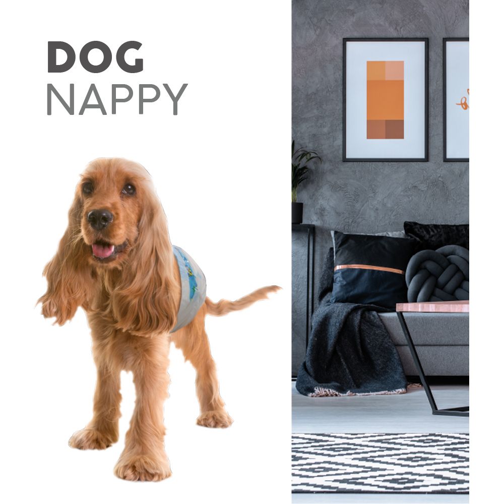 Pannolini per cani Dog Nappy