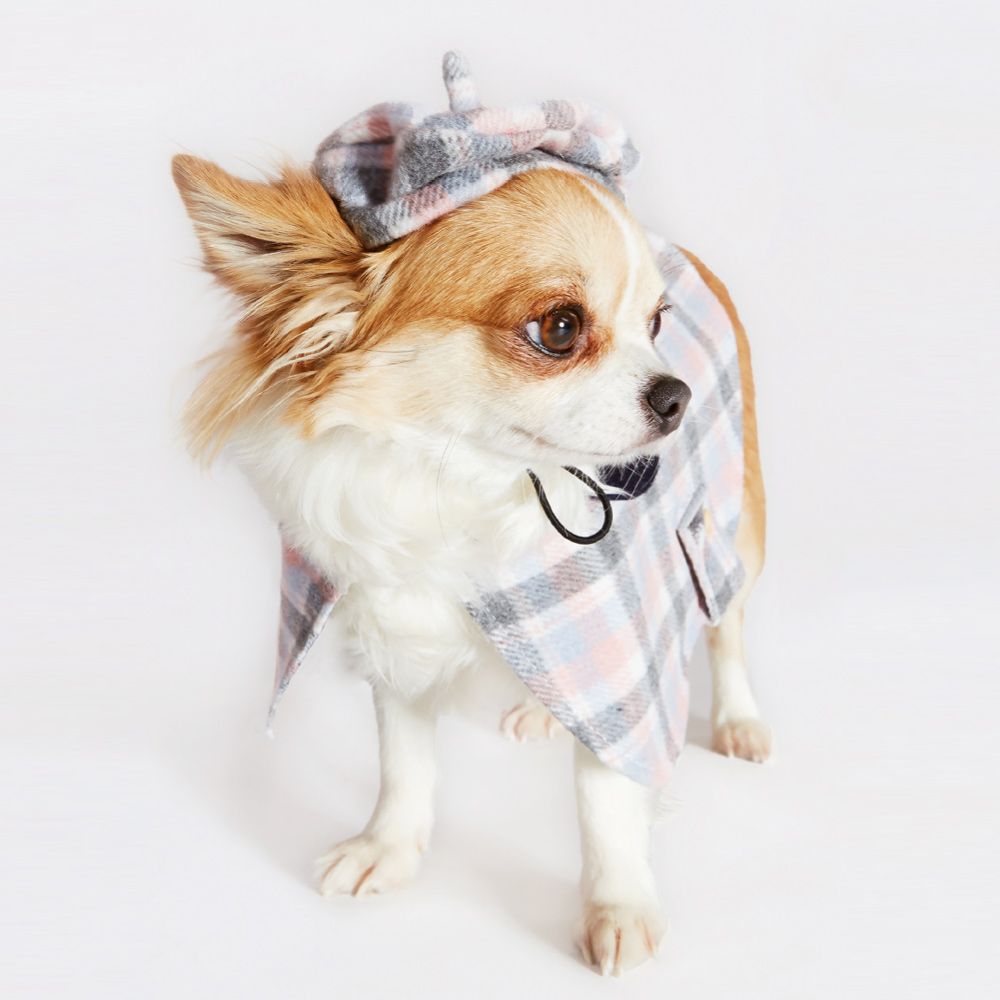 Parisian Animal Hat