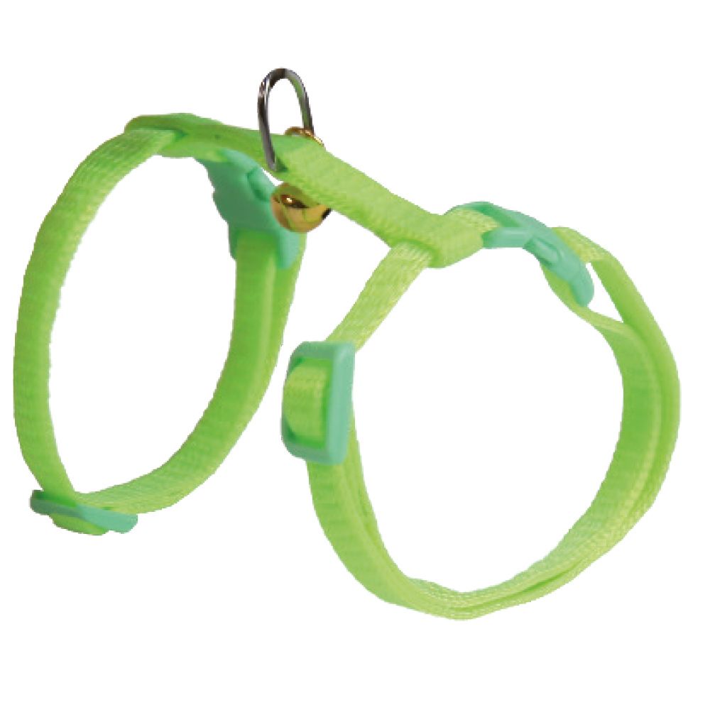 Laisse et harnais pour chien en nylon fluo