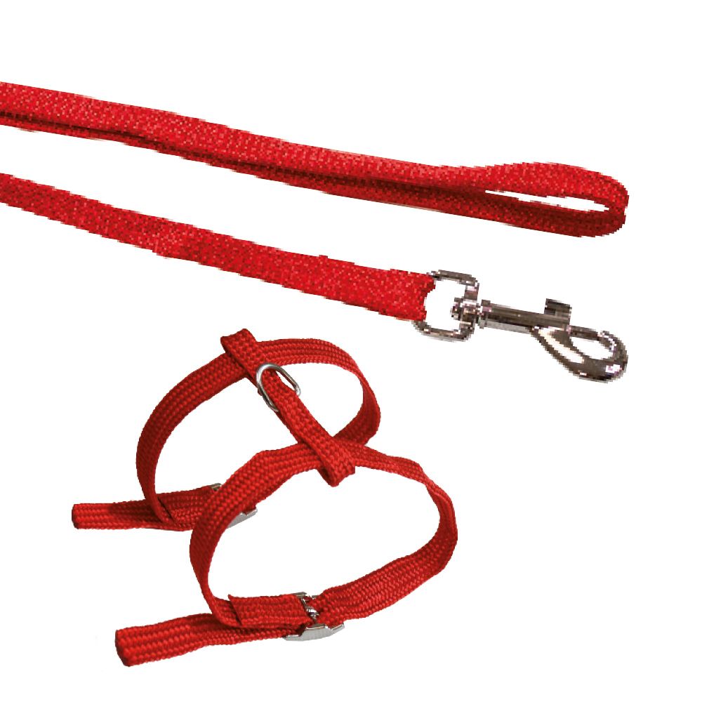 Nylon Cat Leash with Harness