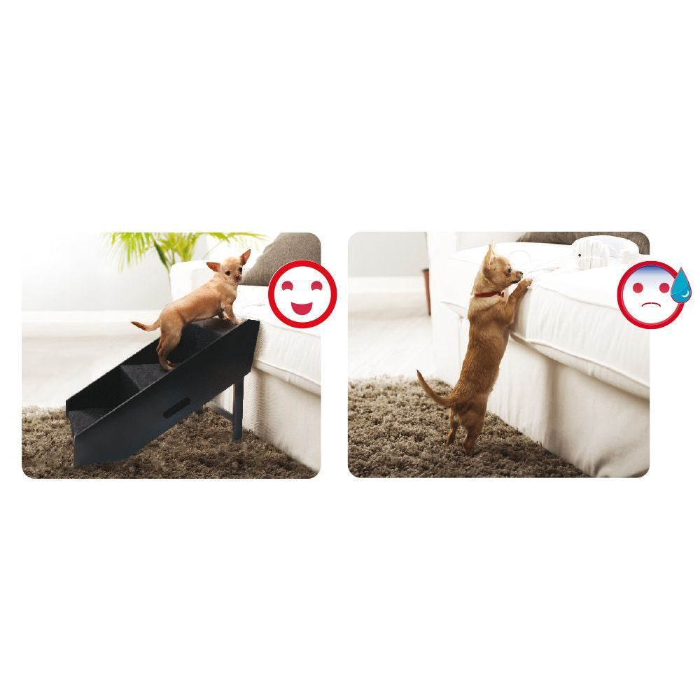 Flip Steps: rampa per cani